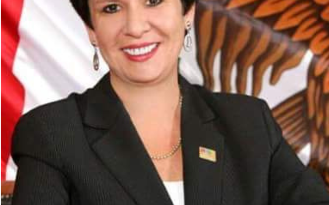 Laura Cerna Lara